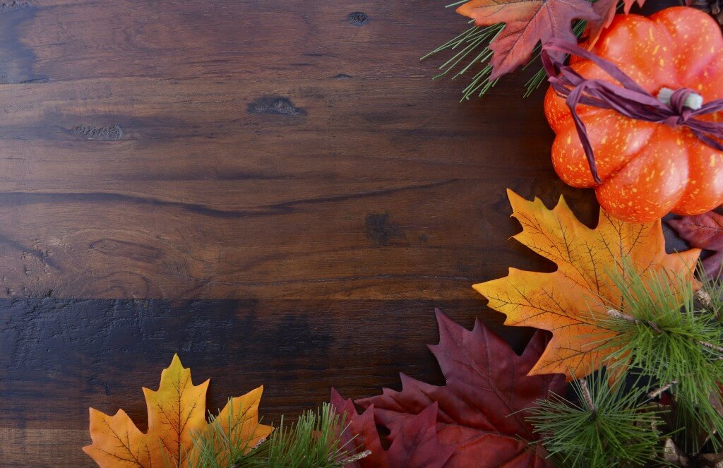 Wärmster November seit Beginn der Aufzeichnungen