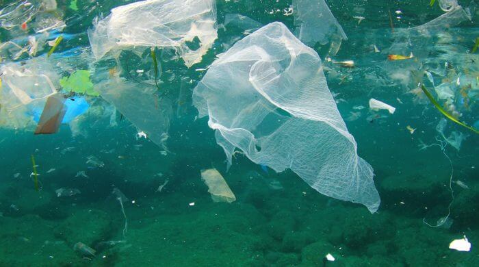Plastikmüll erreicht die Arktis