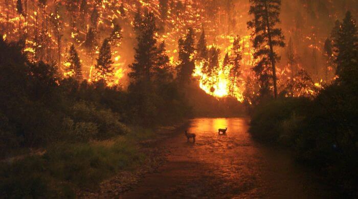 Schlimme Waldbrände in Kanada