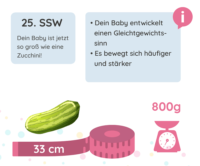 SSW 25: Entwicklung des Babys