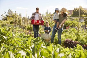 Family-Startups: Wenn das Business Familienangelegenheit sein soll