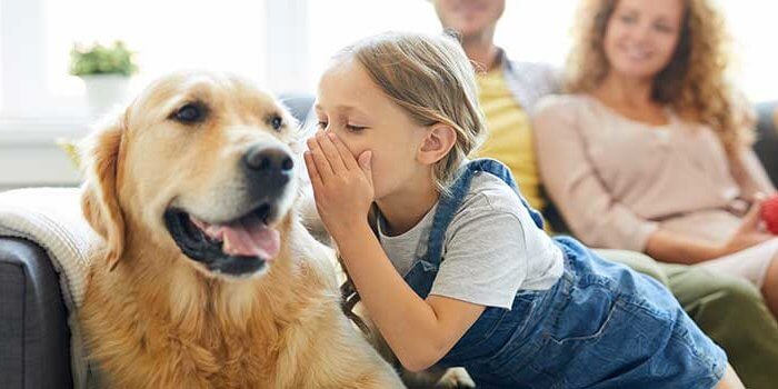 Kinder und der Wunsch nach einem Haustier