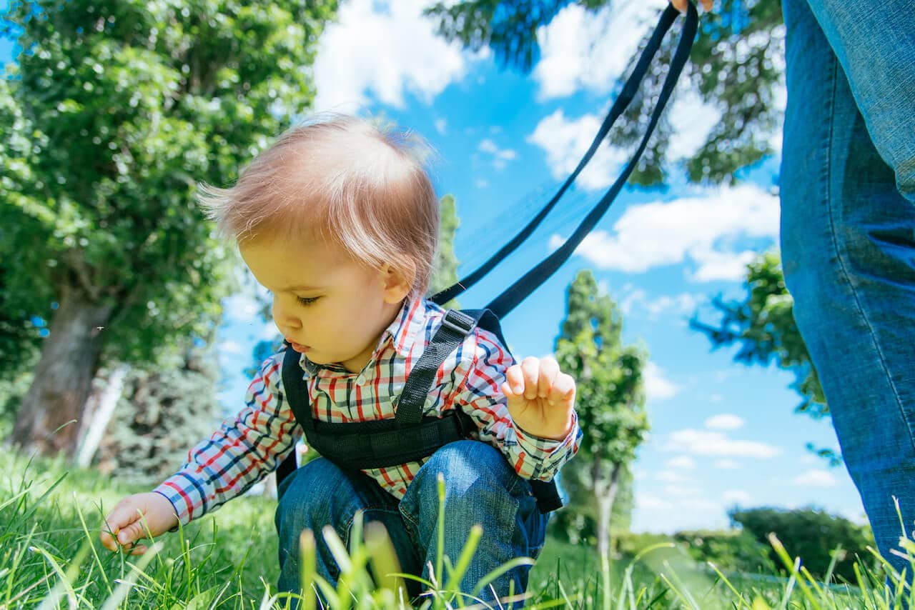 pexels-pixabay-39691 Kinderleine