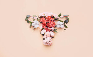 Gebärmutterschleimhaut: Tabelle – Eine Übersicht zur Schleimhautdicke