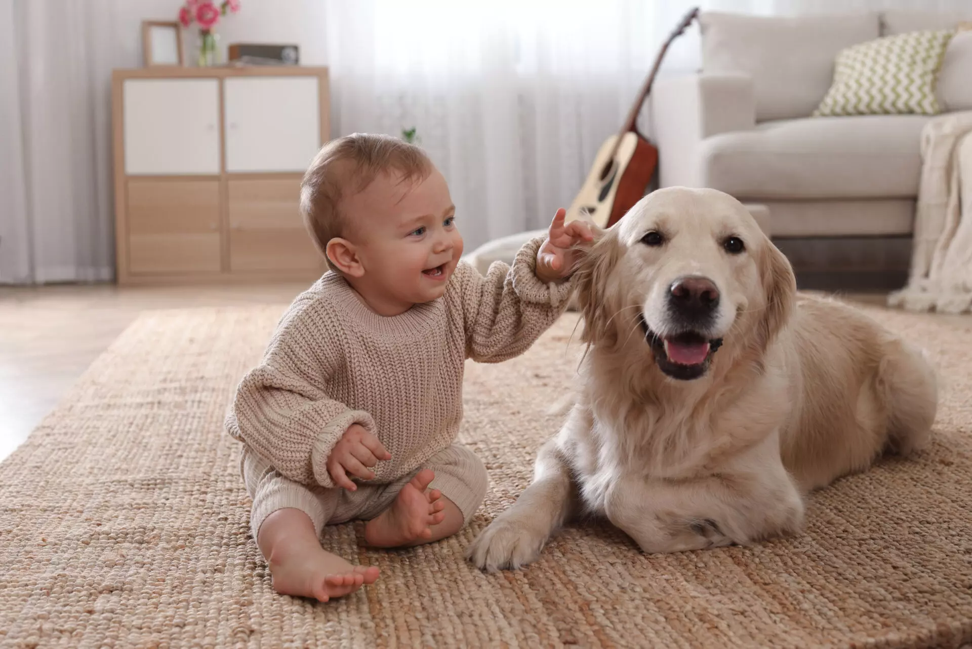 Trainings- und Anpassungstipps für Hunde vor der Ankunft eines Babys